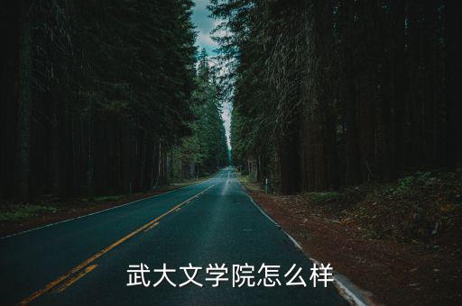 武大文學院怎么樣