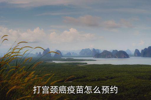 打?qū)m頸癌疫苗怎么預(yù)約