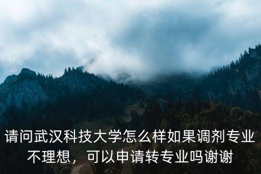 武漢科技大學空乘專業怎么樣,請問武漢科技大學怎么樣