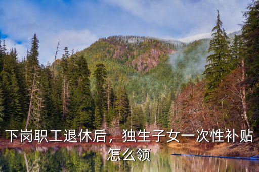 武漢下崗人員獨(dú)生子女補(bǔ)貼怎么領(lǐng),獨(dú)生子女一次性補(bǔ)貼怎么領(lǐng)