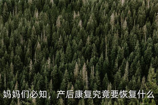 媽媽們必知，產(chǎn)后康復(fù)究竟要恢復(fù)什么