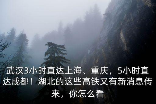 怎么鞏固武漢的交通地位,武漢交通樞紐的地位在下降嗎