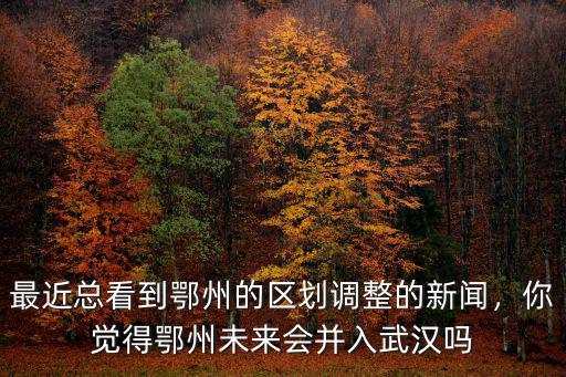 未來(lái)的鄂州市會(huì)怎么樣,湖北省鄂州的發(fā)展前景怎么樣
