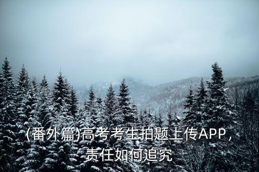 (番外篇)高考考生拍題上傳APP，責任如何追究