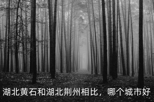 湖北黃石和湖北荊州相比，哪個(gè)城市好