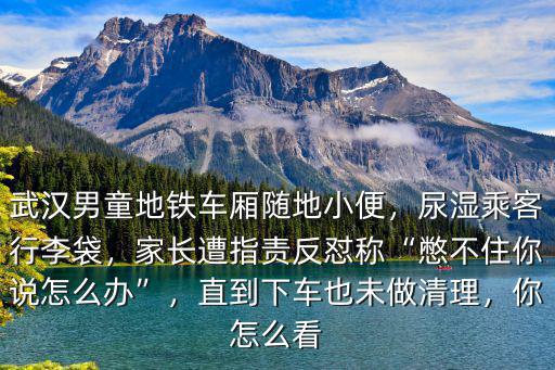 武漢男童地鐵車廂隨地小便，尿濕乘客行李袋，家長遭指責反懟稱“憋不住你說怎么辦”，直到下車也未做清理，你怎么看