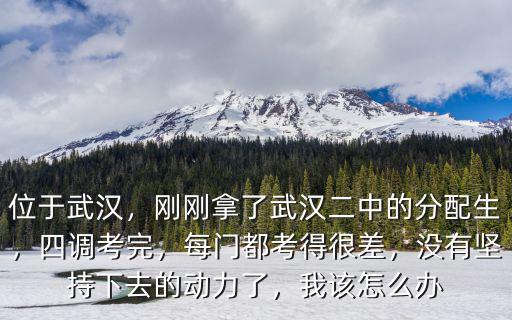 位于武漢，剛剛拿了武漢二中的分配生，四調(diào)考完，每門都考得很差，沒有堅持下去的動力了，我該怎么辦