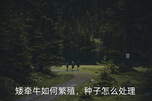 矮牽牛如何繁殖，種子怎么處理