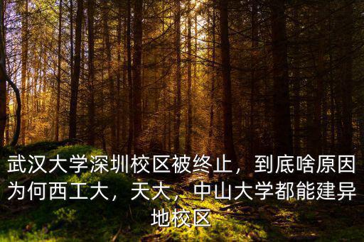 武漢大學新校區怎么樣,武漢大學深圳校區被終止