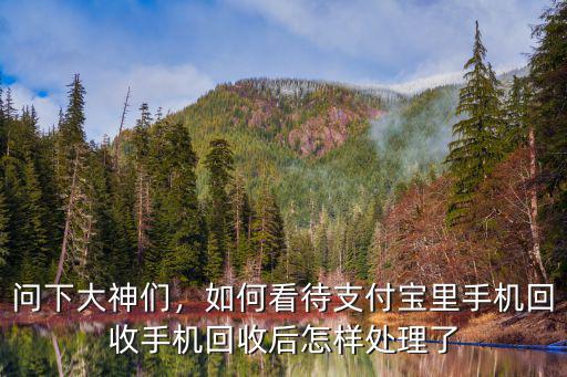 宜昌手機回收怎么樣,如何看待支付寶里手機回收