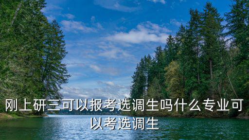 剛上研三可以報考選調生嗎什么專業(yè)可以考選調生