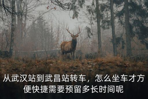 武漢站怎么送人乘車,怎么坐車才方便快捷