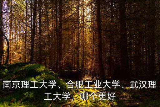 南京理工大學(xué)、合肥工業(yè)大學(xué)、武漢理工大學(xué)，哪個更好