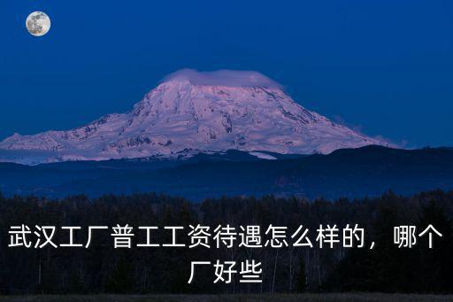 武漢奈瑞兒待遇怎么樣,武漢小米公司待遇怎么樣
