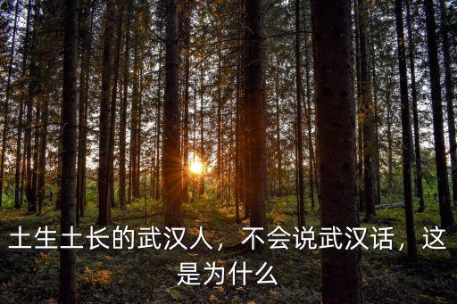 武漢話真能說怎么說,不會說武漢話