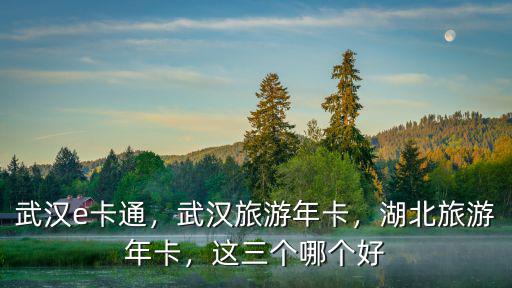 湖北省旅游年卡e卡通怎么辦,武漢旅游年卡