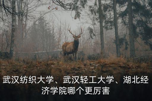 武漢紡織大學(xué)、武漢輕工大學(xué)、湖北經(jīng)濟(jì)學(xué)院哪個更厲害