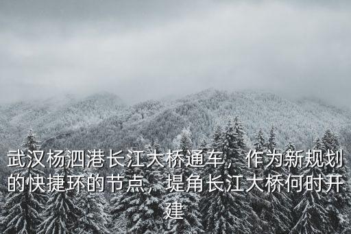 武漢楊泗港長江大橋怎么建的,武漢楊泗港長江大橋通車