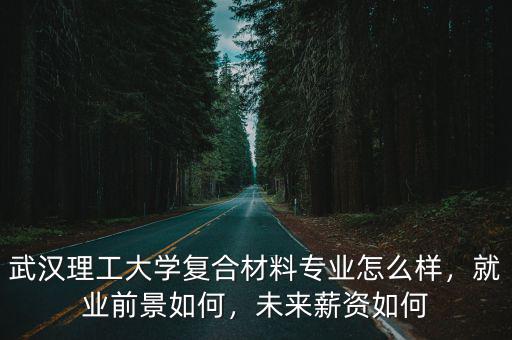 武漢理工大學復合材料專業怎么樣，就業前景如何，未來薪資如何