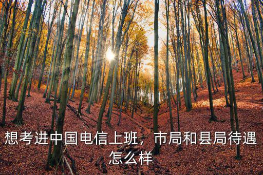 中國電信咸寧傳輸局怎么樣,市局和縣局待遇怎么樣