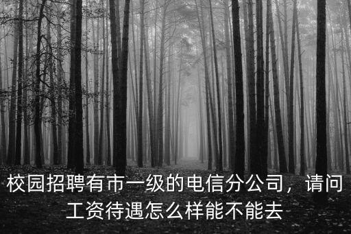 咸寧電信待遇怎么樣,請(qǐng)問工資待遇怎么樣