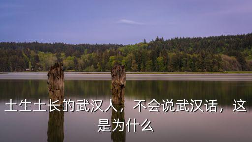 武漢話老鼠怎么說,不會說武漢話