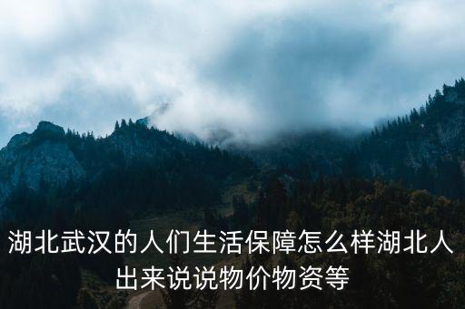 湖北武漢的人們生活保障怎么樣湖北人出來說說物價物資等