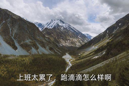 上班太累了，跑滴滴怎么樣啊