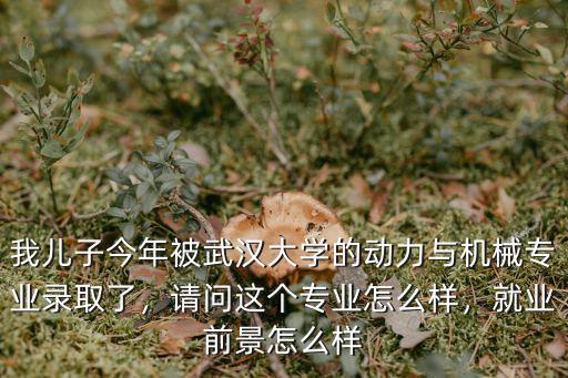 我兒子今年被武漢大學(xué)的動(dòng)力與機(jī)械專業(yè)錄取了，請(qǐng)問(wèn)這個(gè)專業(yè)怎么樣，就業(yè)前景怎么樣