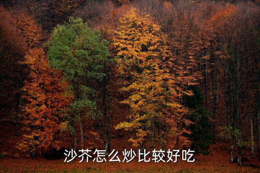 湖北沙地折粉怎么炒好吃,沙芥怎么炒比較好吃