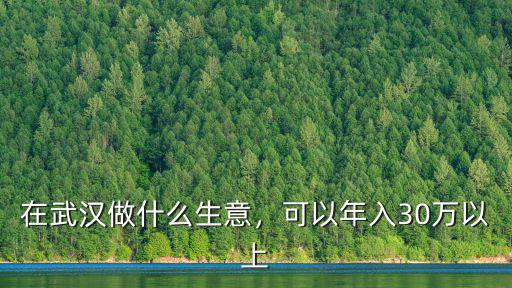 在武漢做什么生意，可以年入30萬(wàn)以上