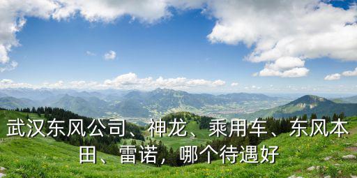 武漢東風公司、神龍、乘用車、東風本田、雷諾，哪個待遇好
