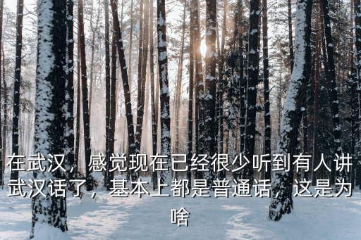 在武漢，感覺現(xiàn)在已經(jīng)很少聽到有人講武漢話了，基本上都是普通話，這是為啥