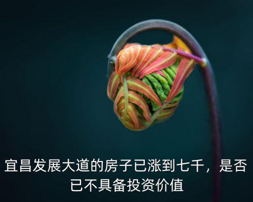 宜昌發展大道的房子已漲到七千，是否已不具備投資價值