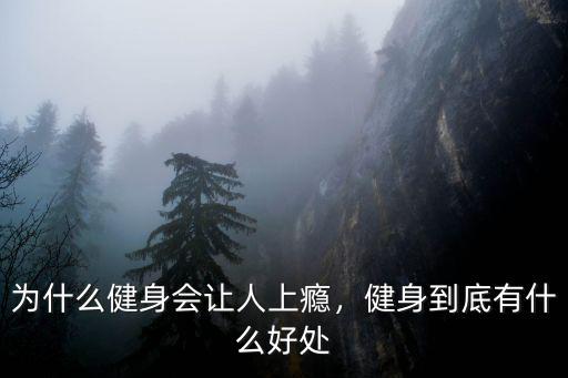 為什么健身會讓人上癮，健身到底有什么好處