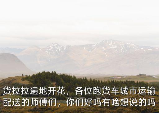 黃岡貨拉拉怎么樣有生意嗎,貨拉拉遍地開花