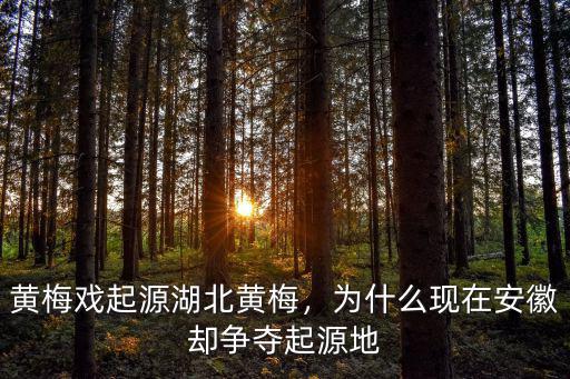 湖北黃梅方言怎么說,黃梅戲起源湖北黃梅