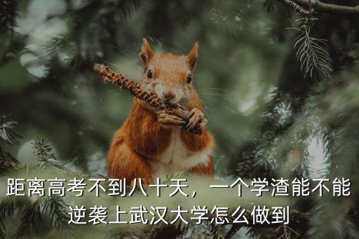 距離高考不到八十天，一個學(xué)渣能不能逆襲上武漢大學(xué)怎么做到