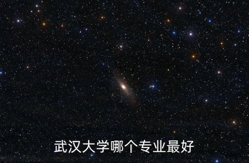 武漢大學哪個專業最好