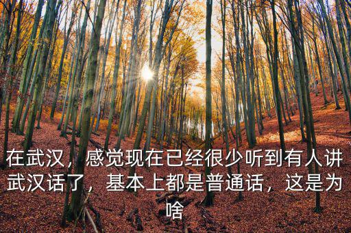 在武漢，感覺現在已經很少聽到有人講武漢話了，基本上都是普通話，這是為啥