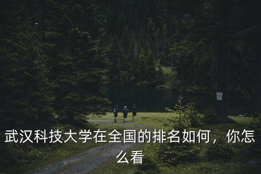 武漢科技大學在全國的排名如何，你怎么看