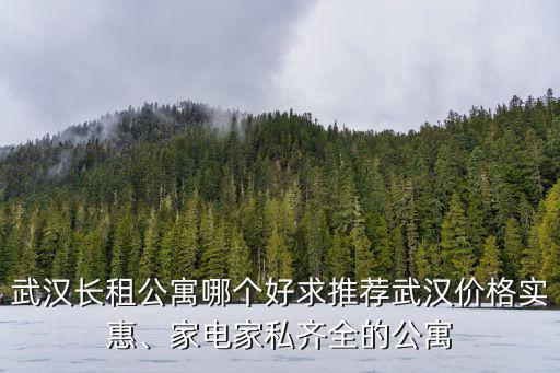 武漢品牌公寓怎么樣,武漢的長租公寓怎么樣
