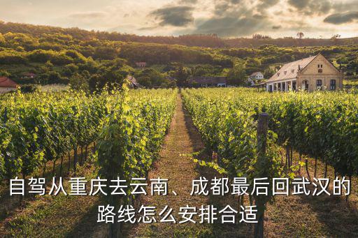 自駕去武漢怎么安排行程,清明前后計劃自駕去武漢
