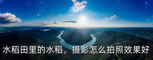 咸寧稻田怎么拍照好看,豐收的稻田要怎么拍才好看