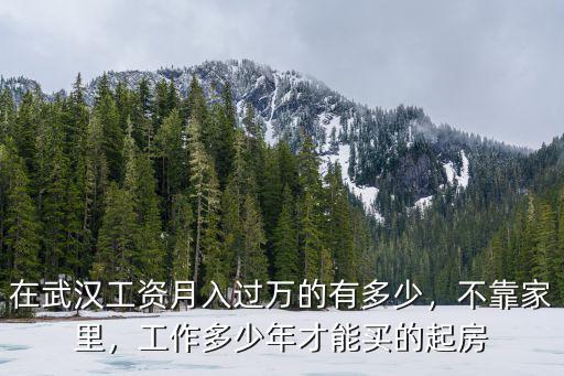 武漢月入過萬怎么樣,武漢月入過萬已超過90%人