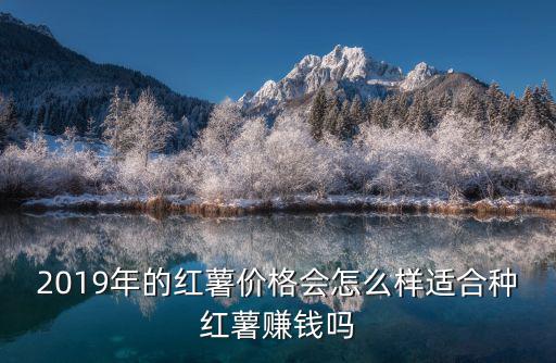 2019年的紅薯價(jià)格會(huì)怎么樣適合種紅薯賺錢(qián)嗎