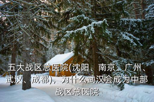 五大戰(zhàn)區(qū)總醫(yī)院(沈陽、南京、廣州、武漢、成都)，為什么武漢會成為中部戰(zhàn)區(qū)總醫(yī)院