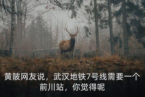 武漢黃陂前川考場怎么樣,武漢黃陂區的發展趨勢怎么樣