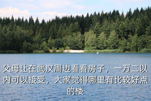 父母讓在武漢周邊看看房子，一萬二以內可以接受，大家覺得哪里有比較好點的樓