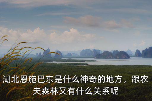 湖北恩施巴東是什么神奇的地方，跟農夫森林又有什么關系呢